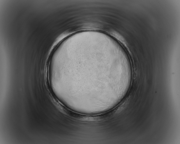 X0000083591179200703021836