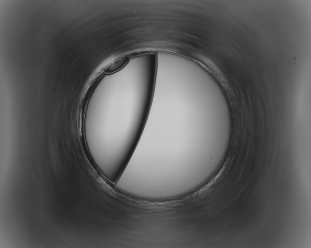 X0000083591180200703021836