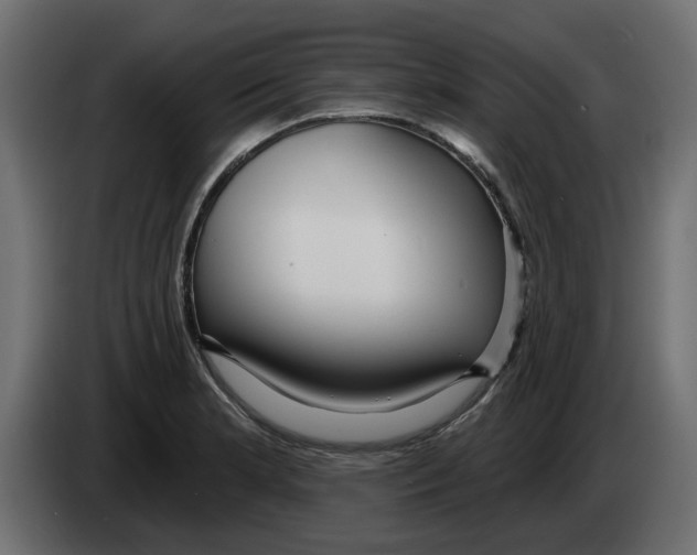 X0000083591181200703021836