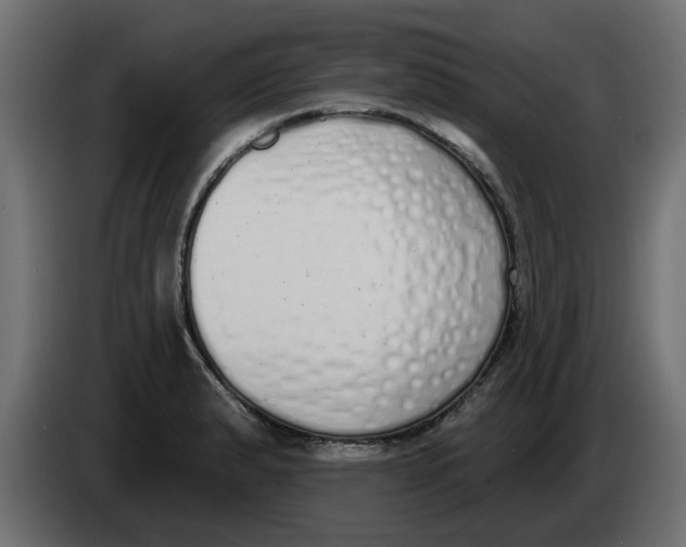 X0000083591183200703021836