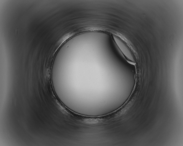 X0000083591185200703021836