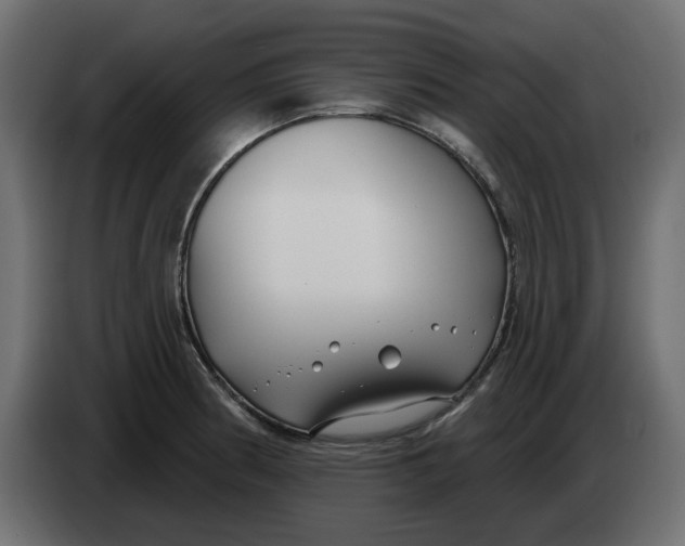 X0000083591186200703021836