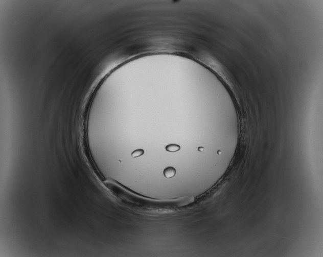 X0000083591187200703021836