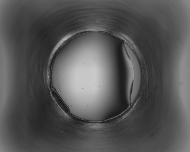 X0000083591188200703021836