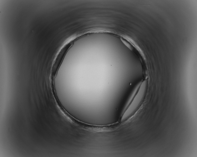 X0000083591189200703021836