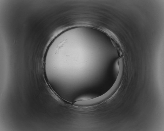 X0000083591192200703021836