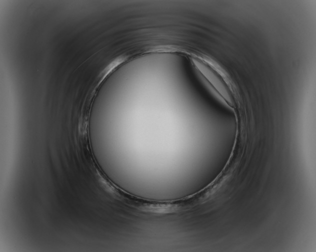 X0000083591193200703021836
