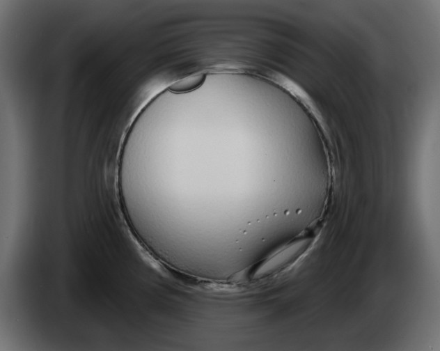 X0000083591194200703021836