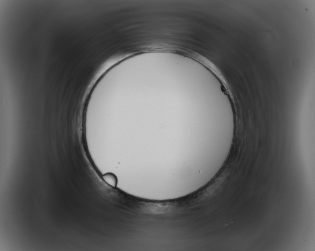 X0000083591195200703021836