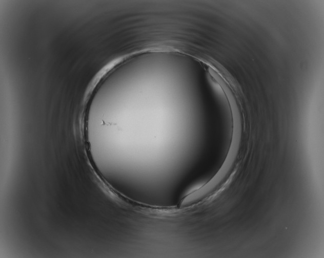 X0000083591196200703021836