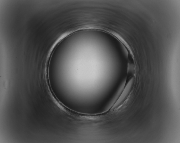 X0000083591197200703021836