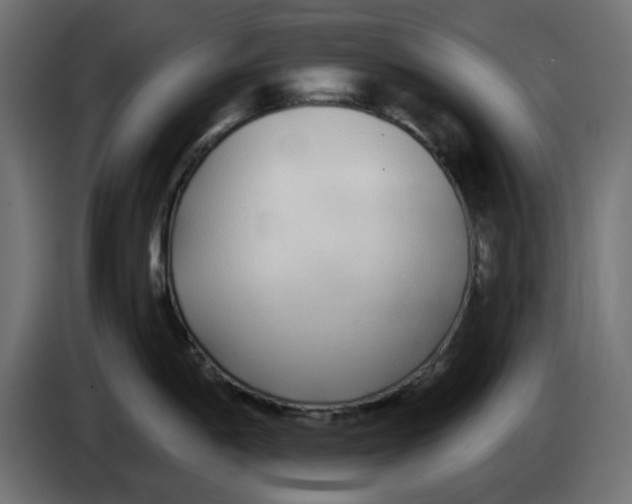 X0000083591198200703021836