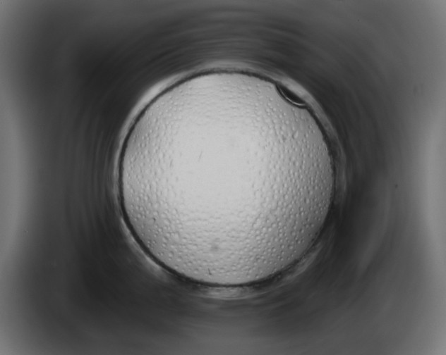X0000083591199200703021836