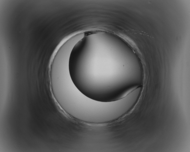 X0000083591200200703021836