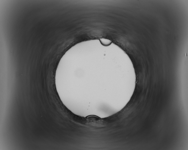 X0000083591201200703021835