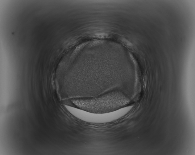 X0000083591202200703021835