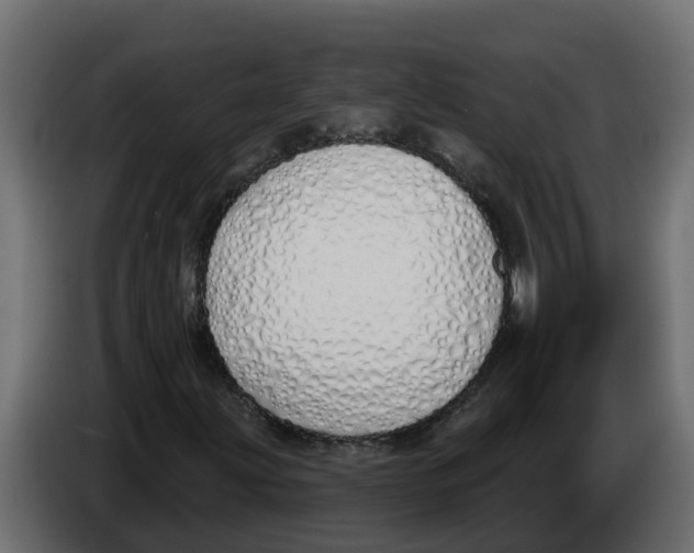X0000083591203200703021835