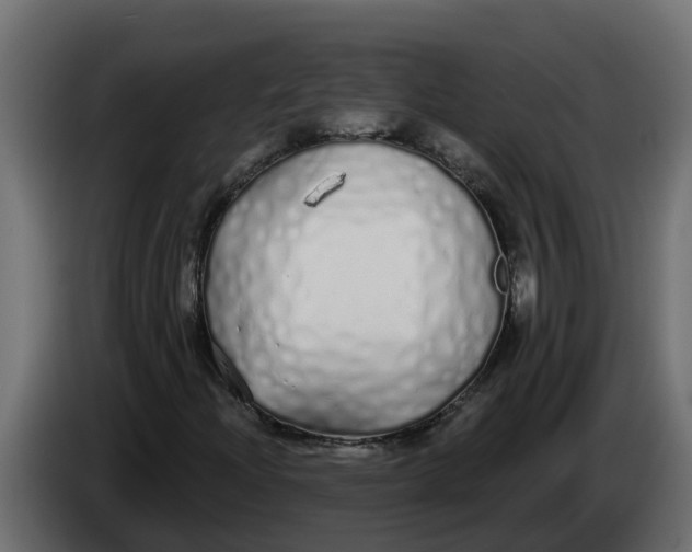 X0000083591204200703021835
