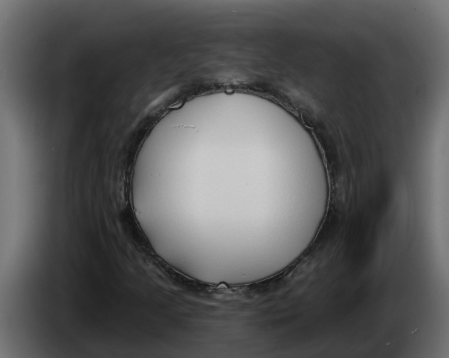X0000083591205200703021835