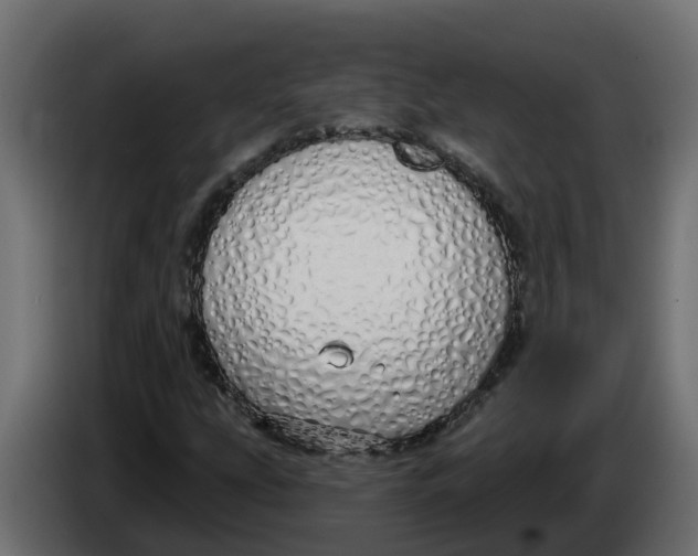 X0000083591207200703021835