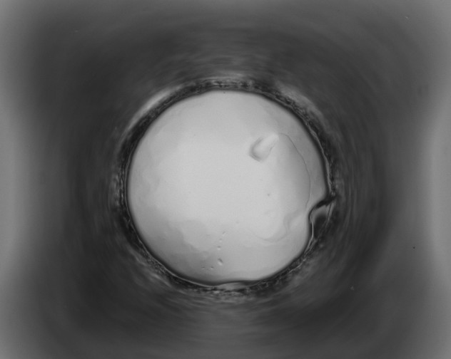 X0000083591208200703021835