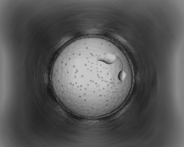 X0000083591209200703021835