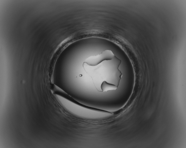 X0000083591210200703021835