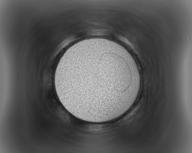 X0000083591211200703021835