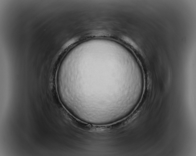 X0000083591213200703021835
