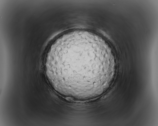 X0000083591215200703021835