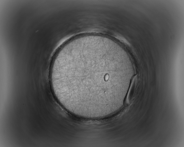 X0000083591216200703021835