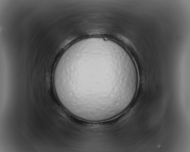 X0000083591217200703021835