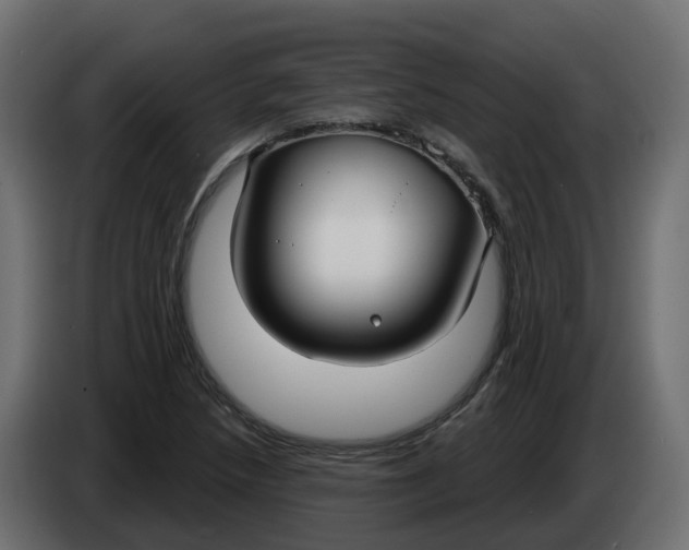 X0000083591218200703021835
