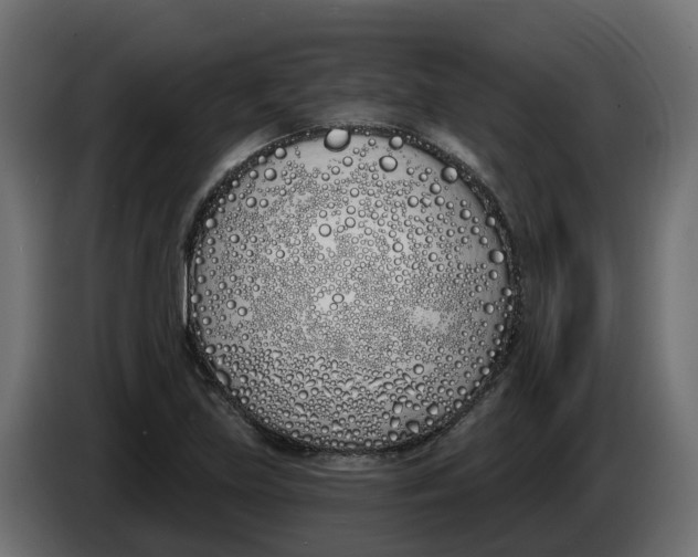 X0000083591219200703021835