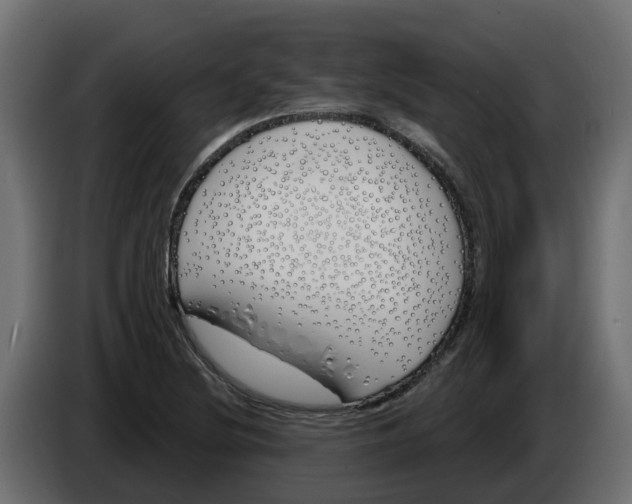 X0000083591220200703021835