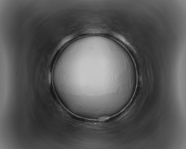 X0000083591221200703021835