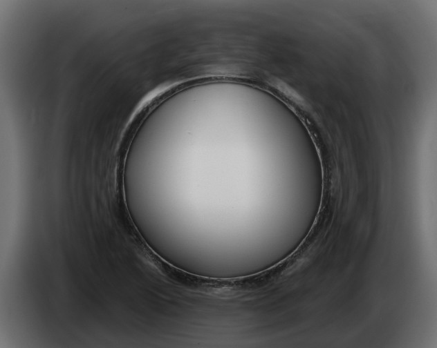 X0000083591222200703021835