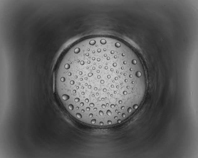 X0000083591223200703021835