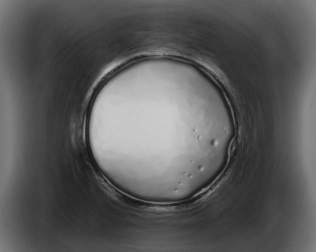 X0000083591224200703021835
