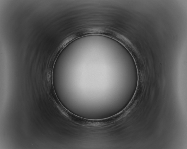 X0000083591225200703021835