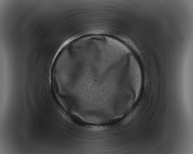 X0000083591226200703021835