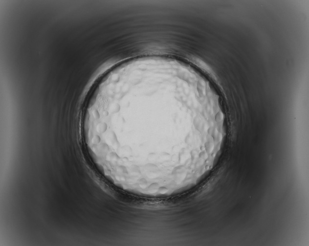 X0000083591227200703021835