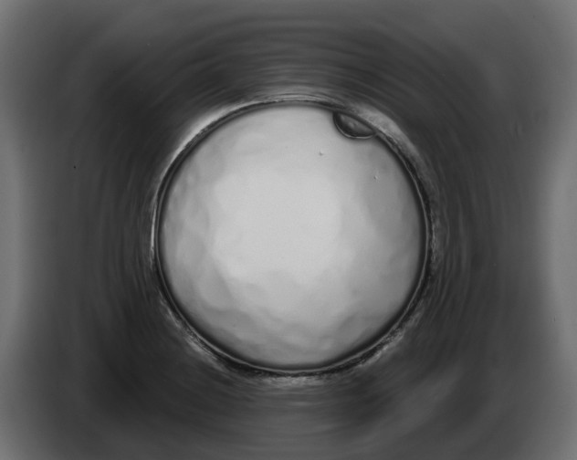 X0000083591228200703021835