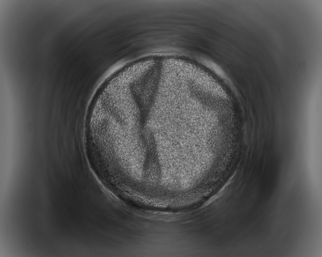 X0000083591229200703021835