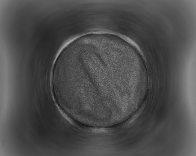 X0000083591231200703021835