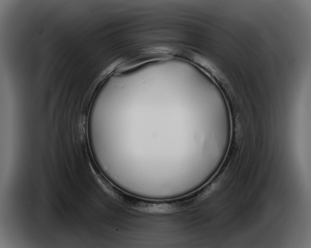 X0000083591233200703021835