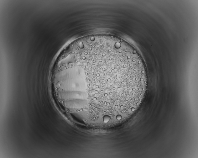 X0000083591235200703021835