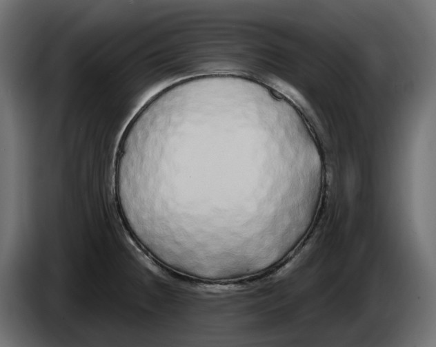 X0000083591236200703021835