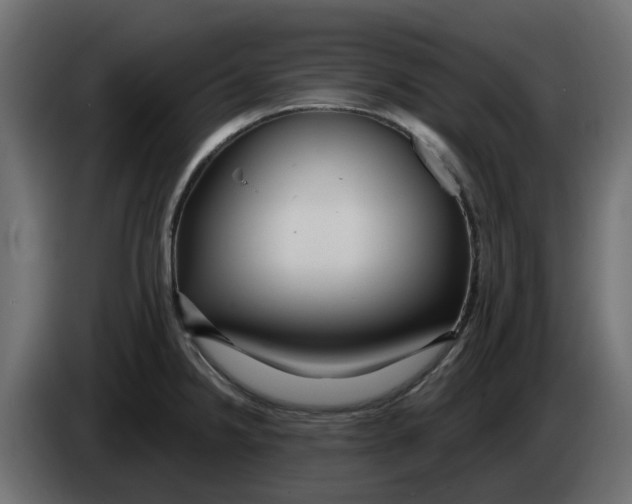 X0000083591238200703021835