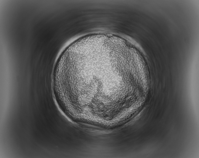 X0000083591239200703021835